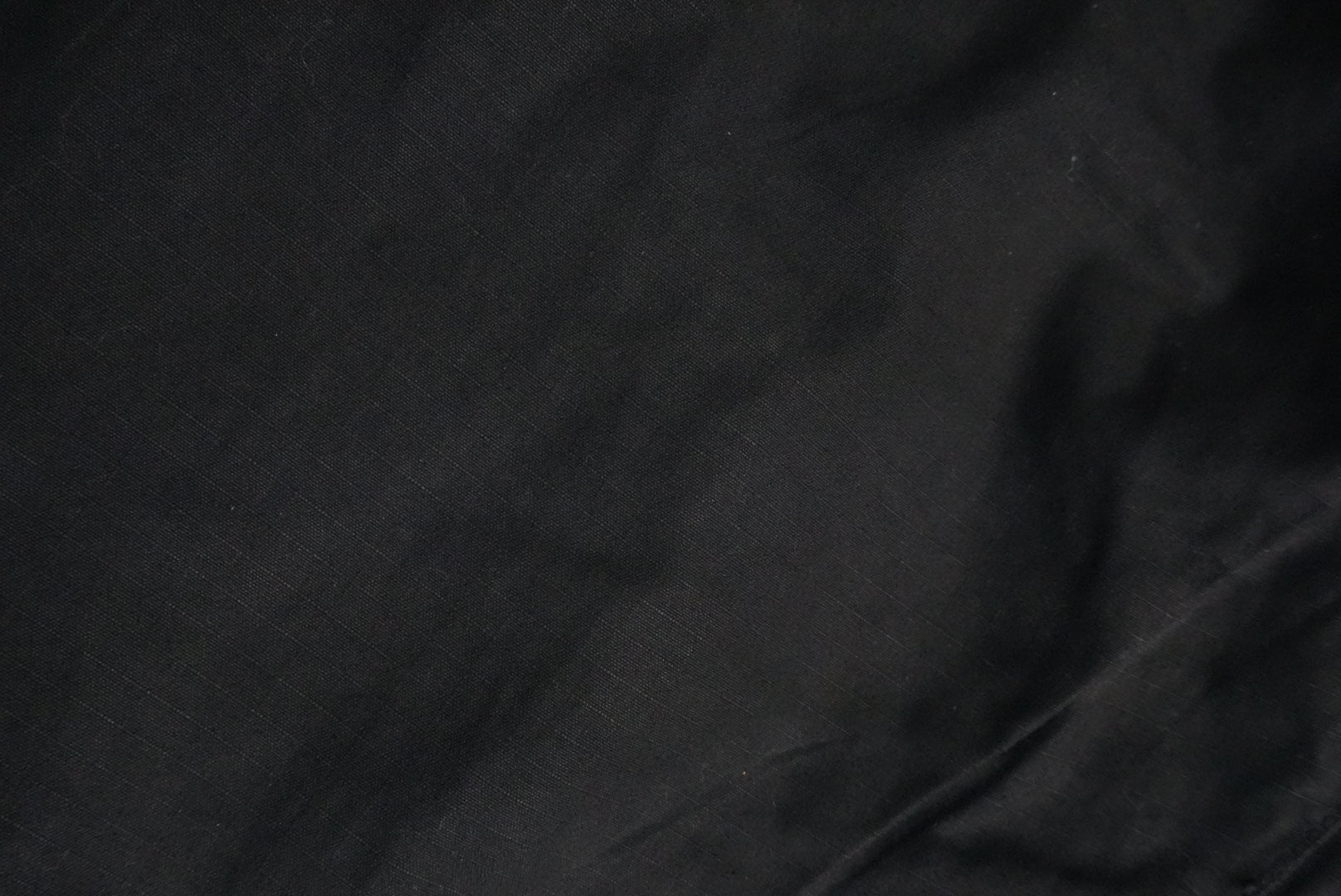 Rick Owens FW08 Stag ripstop waxed detroits