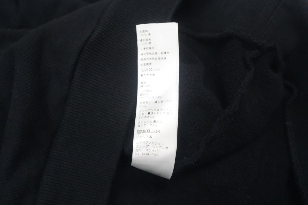 Celine SS22 Cosmic Cruiser safety pins hoodie